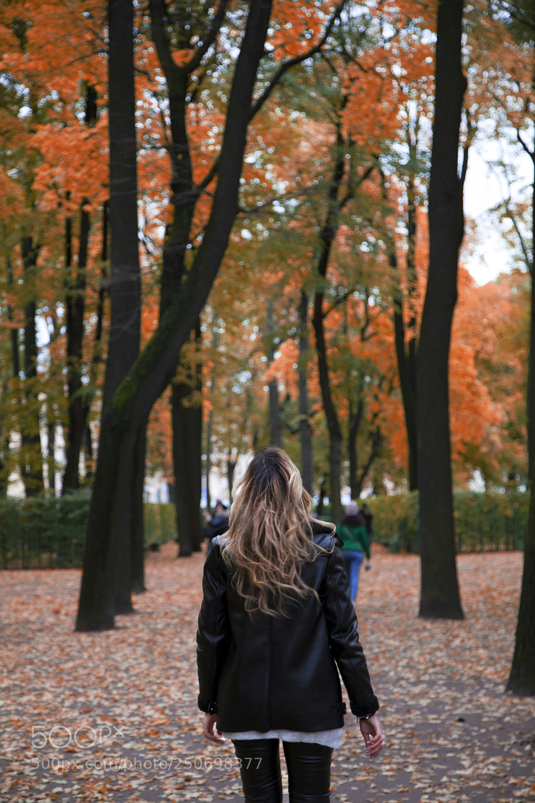 Canon EOS 5D Mark II sample photo. 382.jpg photography