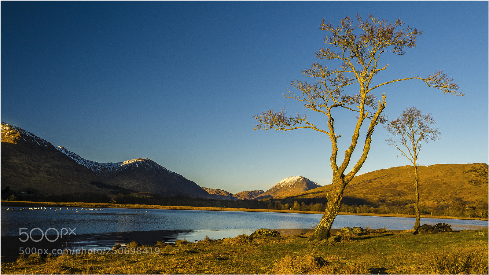 Nikon D7000 sample photo. Kilchurn castle photography