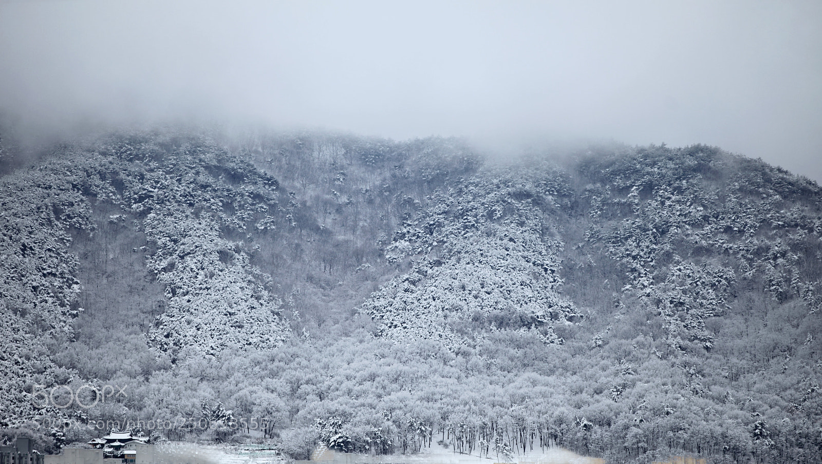 Canon EOS 5D Mark II sample photo. Snow falling in march photography