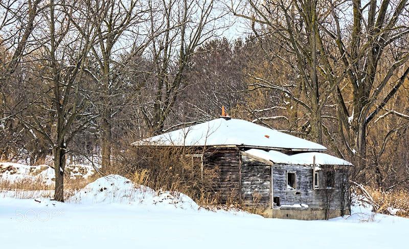 Olympus OM-D E-M1 sample photo. Needs a little love photography