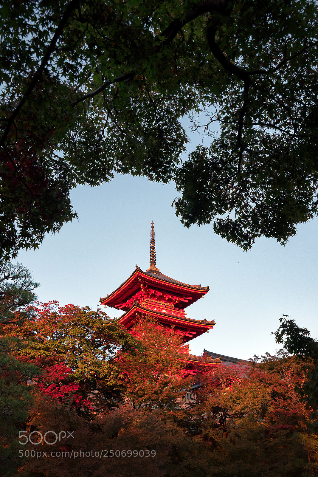Olympus OM-D E-M5 II sample photo. Kyoto photography