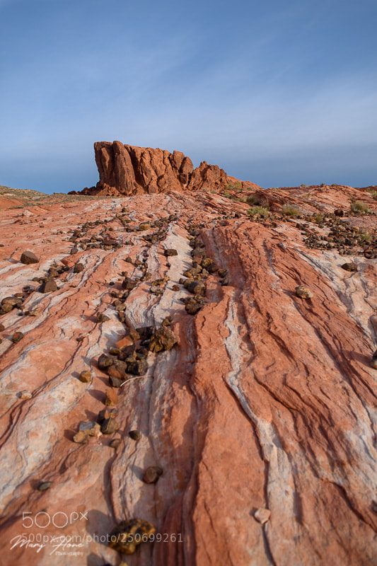 Nikon D500 sample photo. Leading lines photography