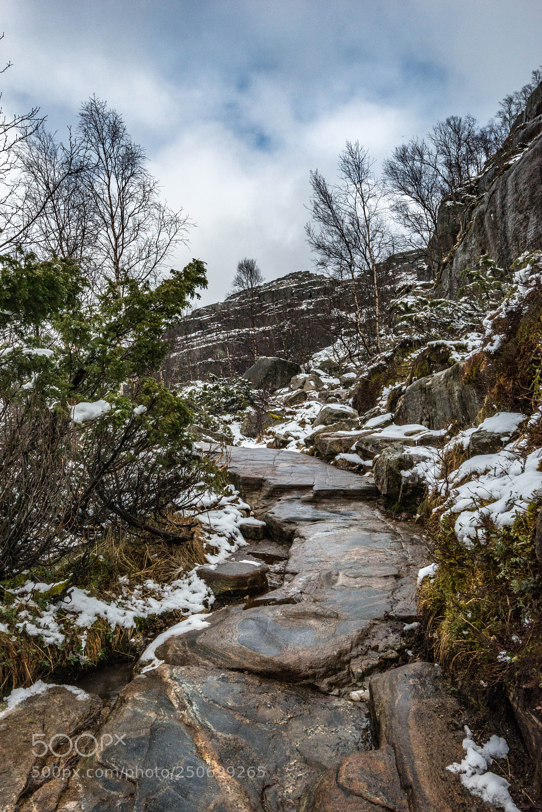 Nikon D800 sample photo. Preikestolen photography