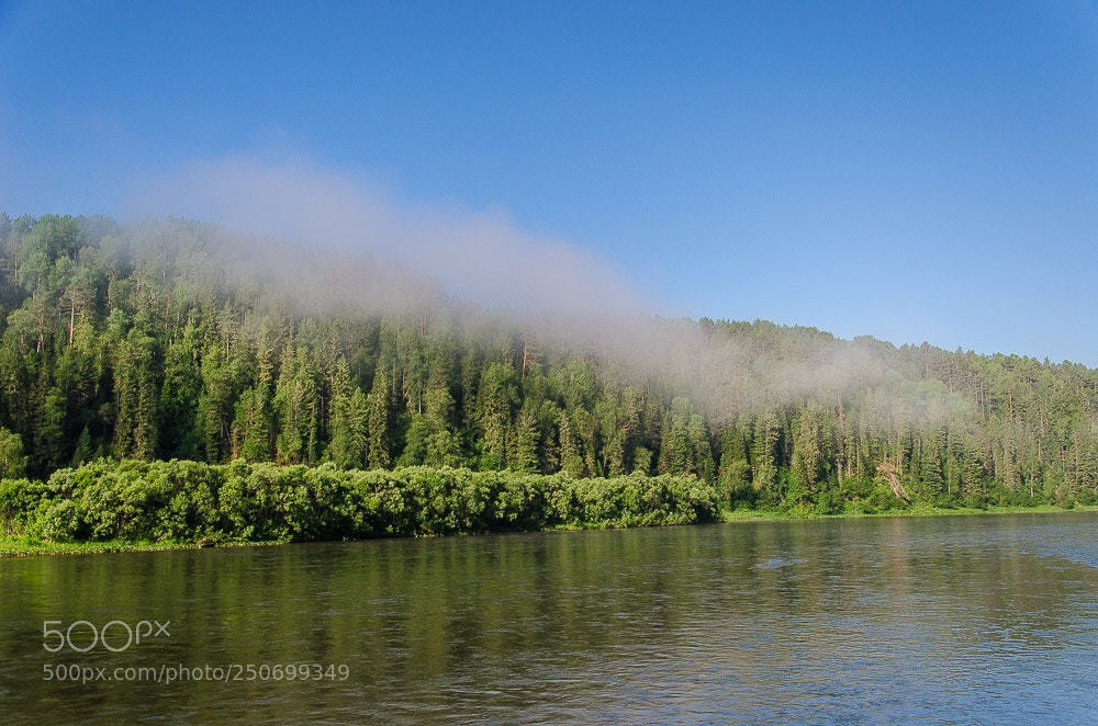 Nikon D7000 sample photo. Foggy dawn photography