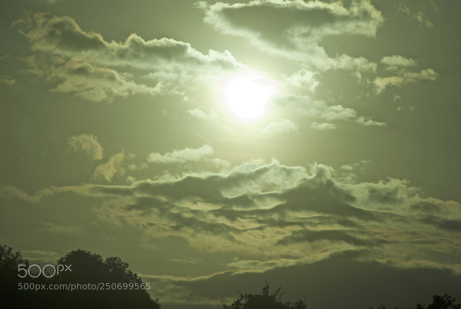 Nikon D60 sample photo. Untitled photography