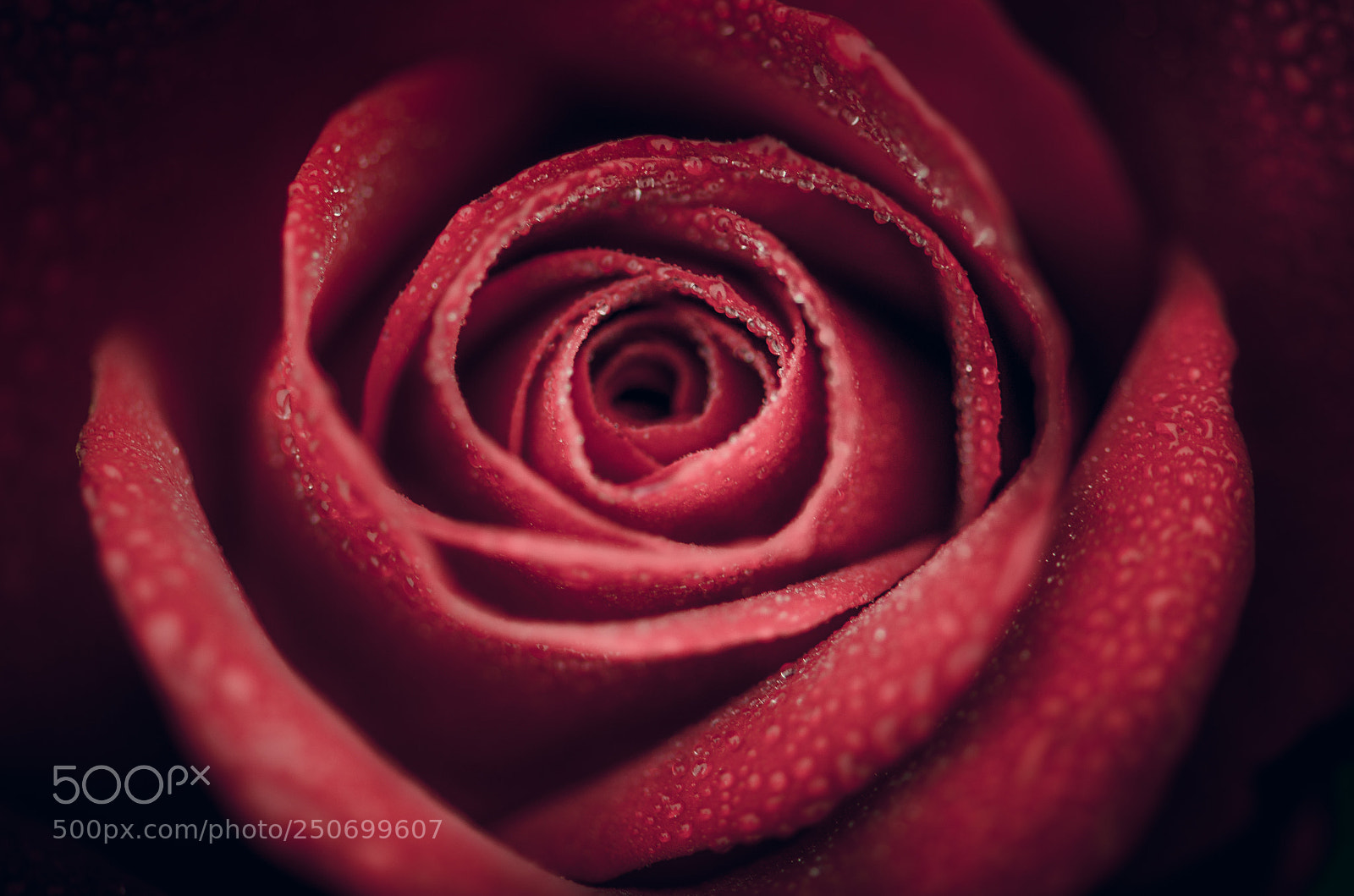 Nikon D7000 sample photo. Swirl photography