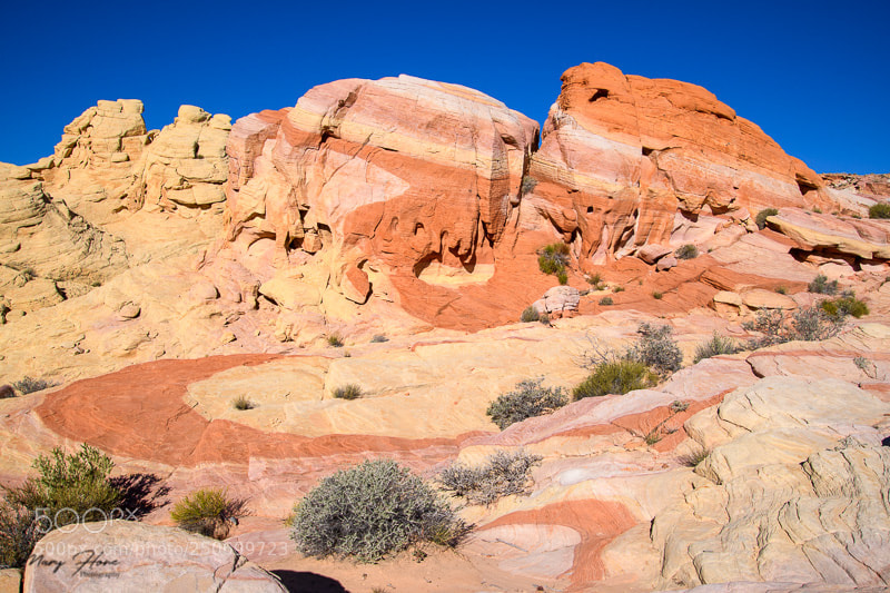 Nikon D500 sample photo. Striped rock in valley photography