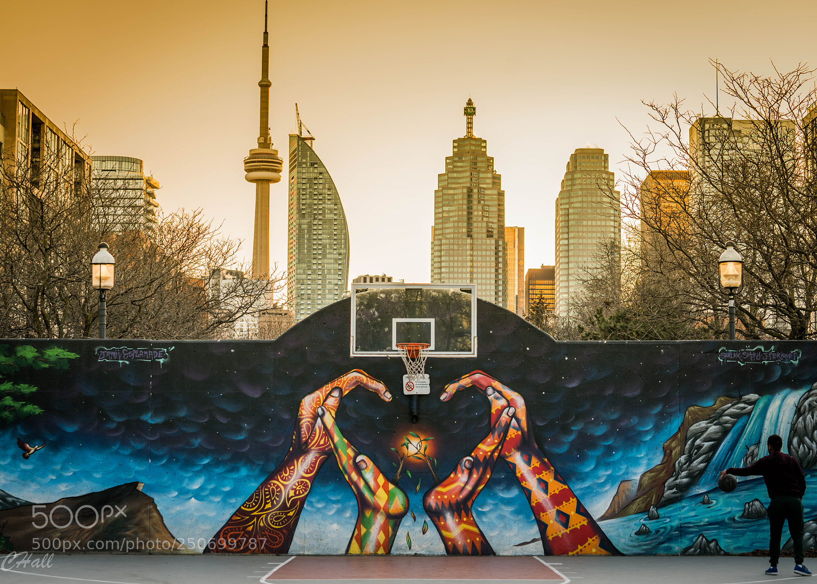 Sony a7R II sample photo. Stumbled upon this court photography