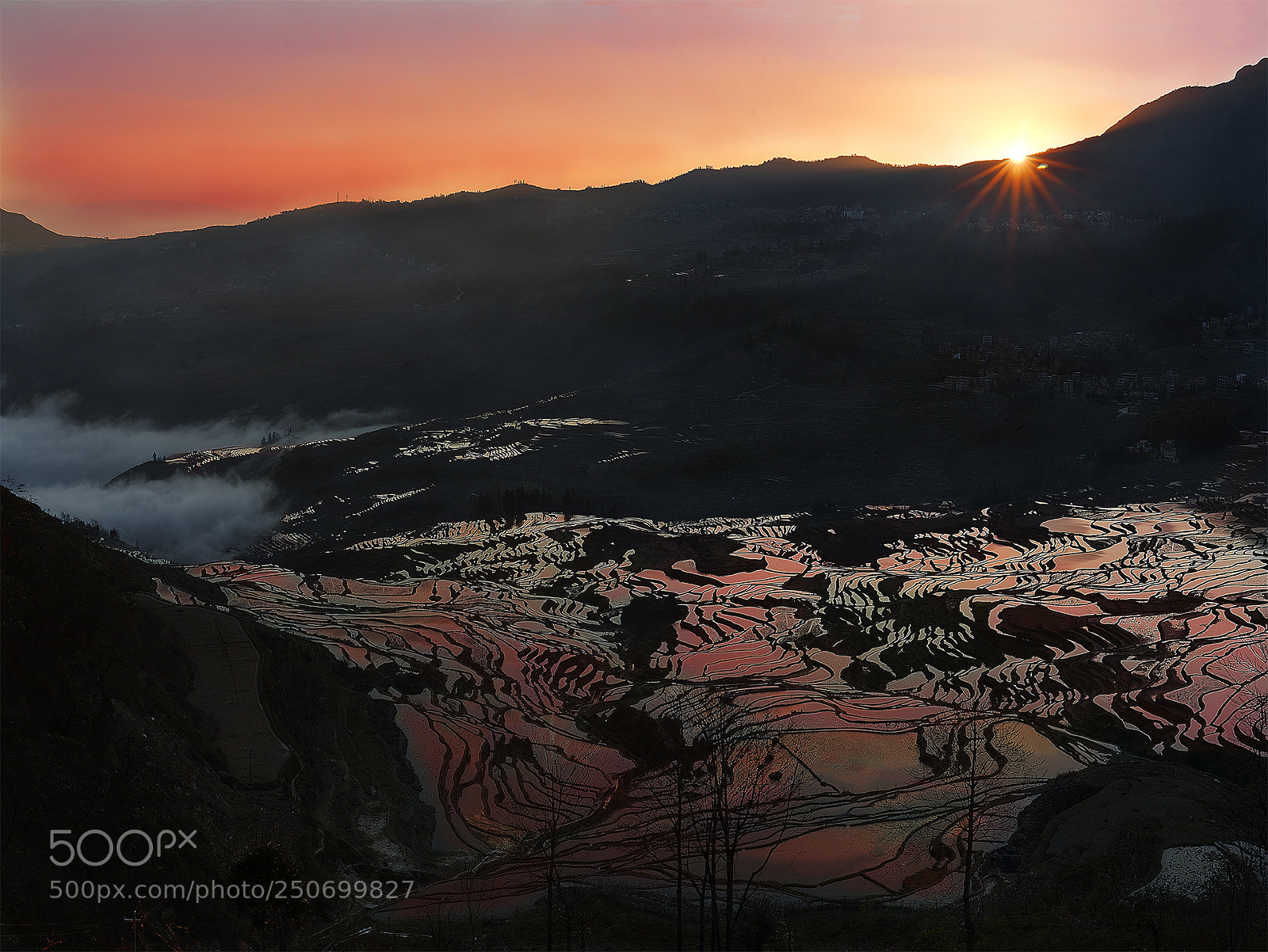 Sony a7 sample photo. Sunrise on foggy terrace photography