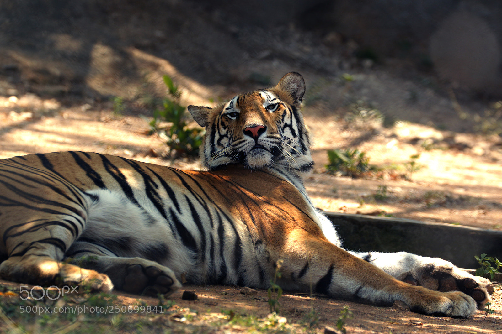 Canon EOS 70D sample photo. I am the lord photography