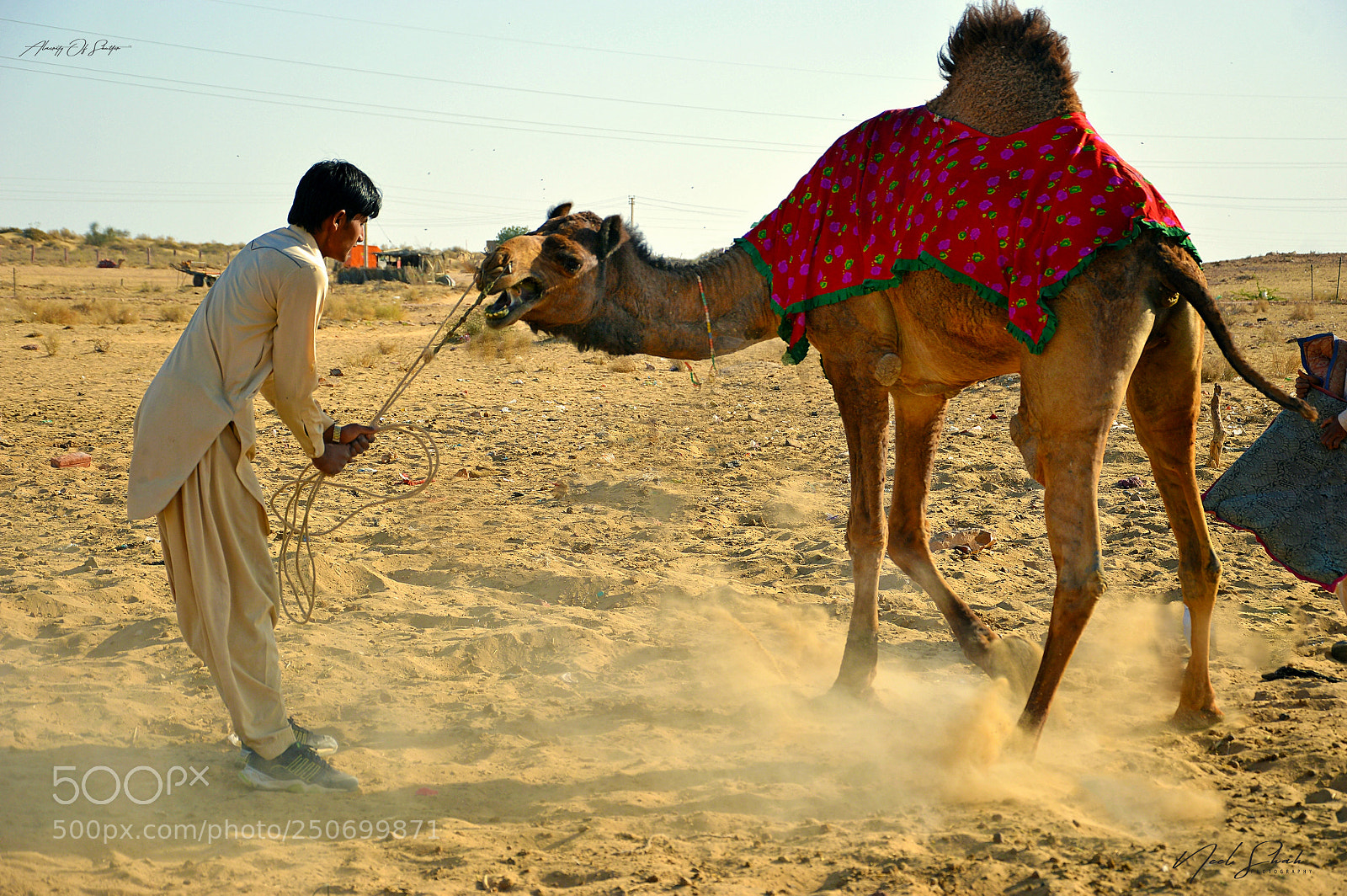 Nikon D3200 sample photo. Taming the beast photography