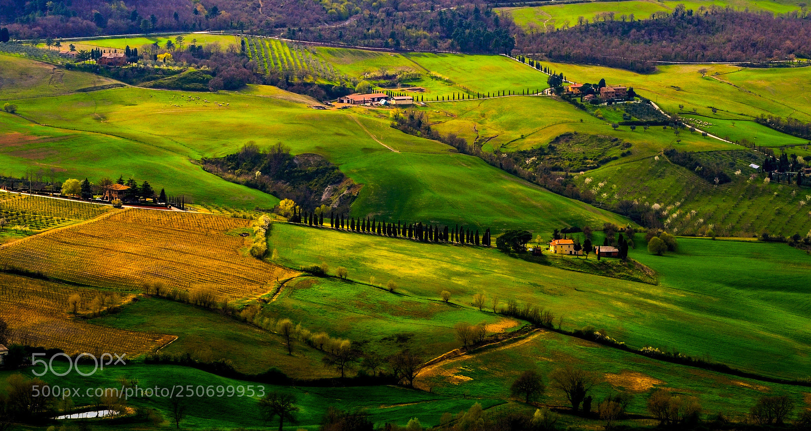 Nikon D7000 sample photo. Valdorcia photography