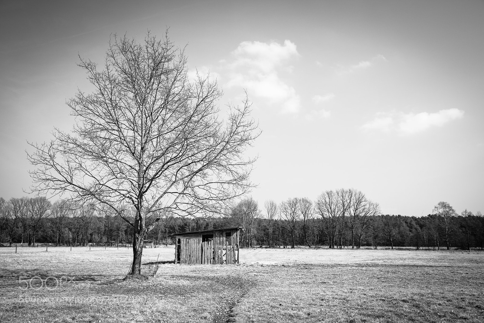 Canon EOS 5D Mark II sample photo. Shack photography