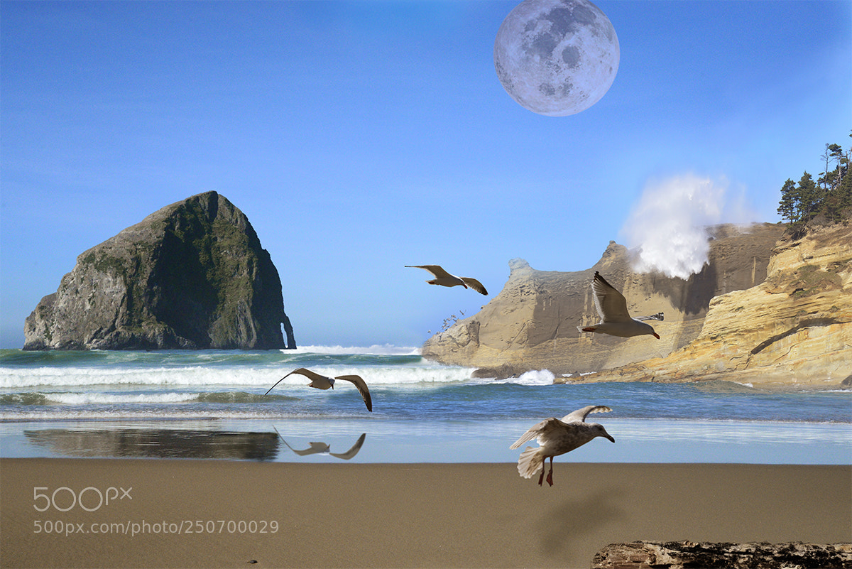 Nikon D600 sample photo. Oregon coast photography