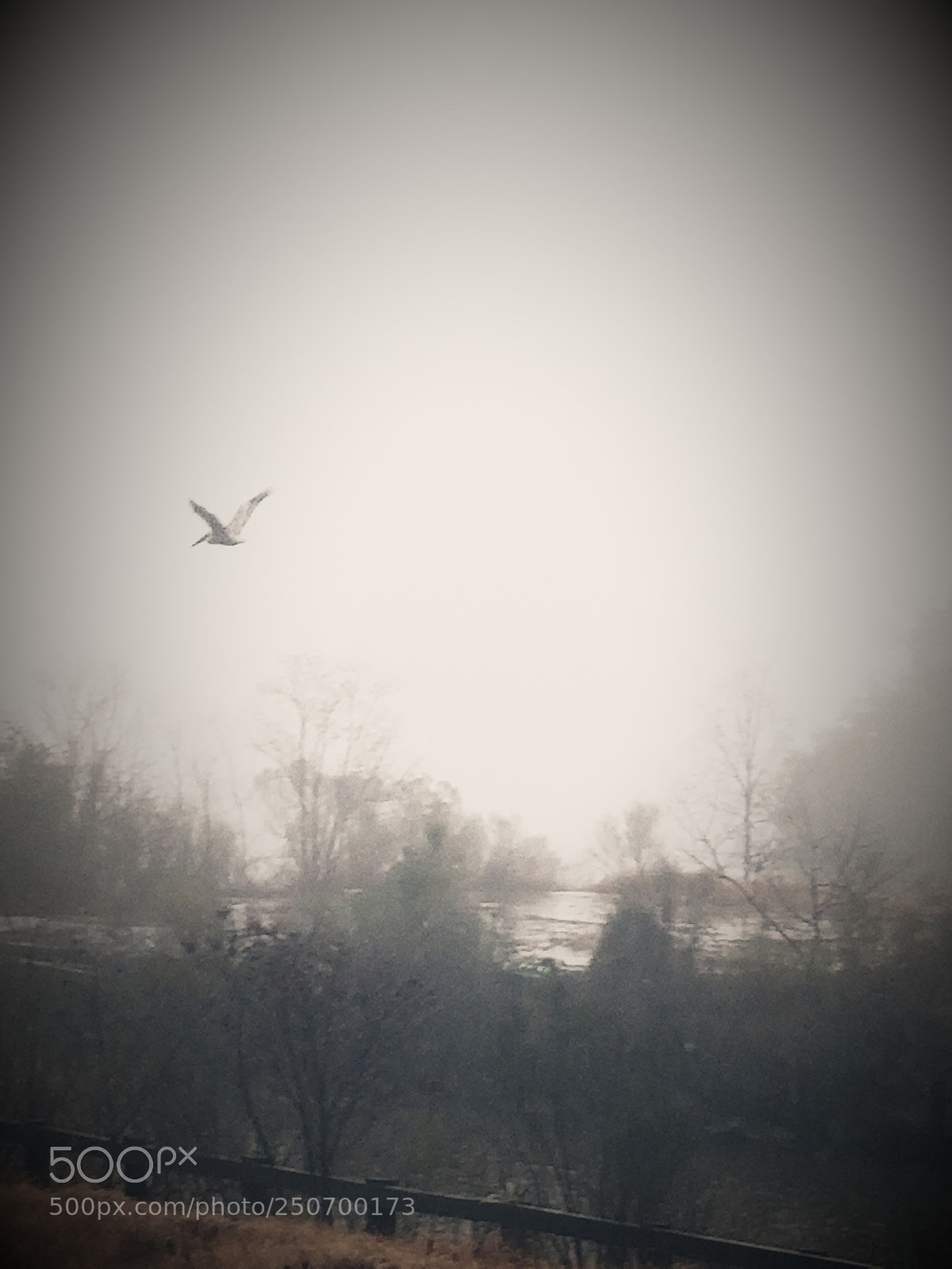 Samsung Galaxy S8 sample photo. Untitled photography