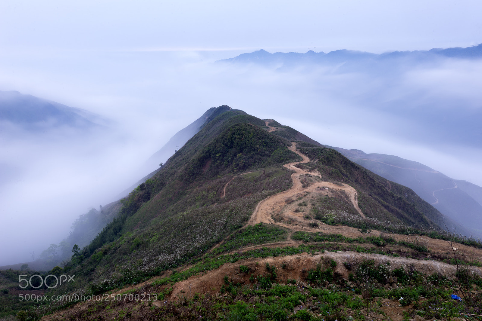 Nikon D610 sample photo. Ta xua in clouds photography