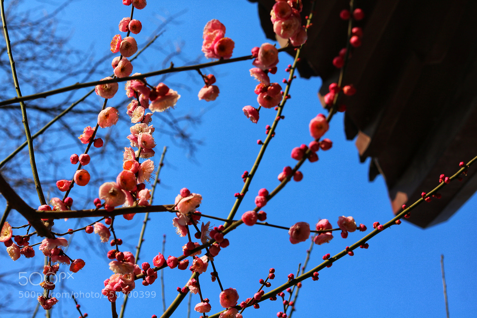 Canon EOS 750D (EOS Rebel T6i / EOS Kiss X8i) sample photo. Untitled photography