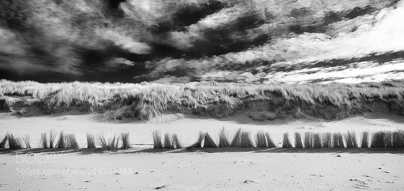 Panasonic Lumix DMC-FZ200 sample photo. Dunes photography