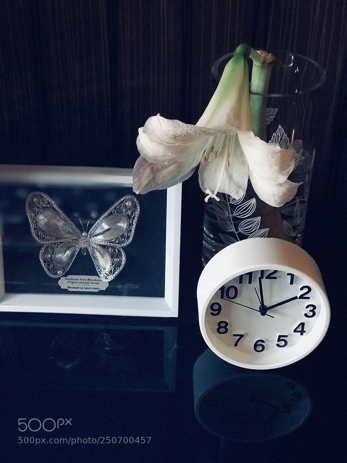 Apple iPhone 7 Plus sample photo. Still life at home  photography