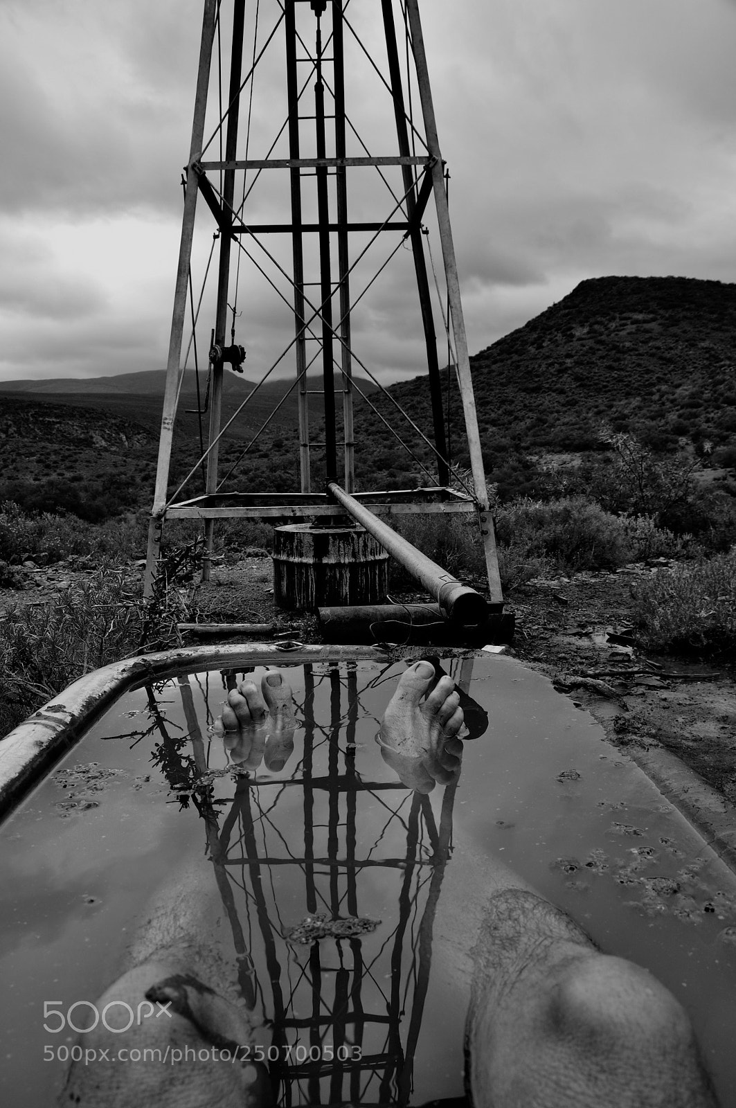 Nikon D90 sample photo. Untitled photography