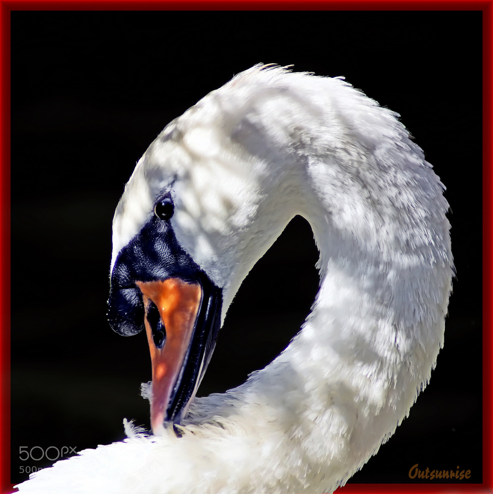 Sony SLT-A65 (SLT-A65V) sample photo. Legacy by outsunrise photography