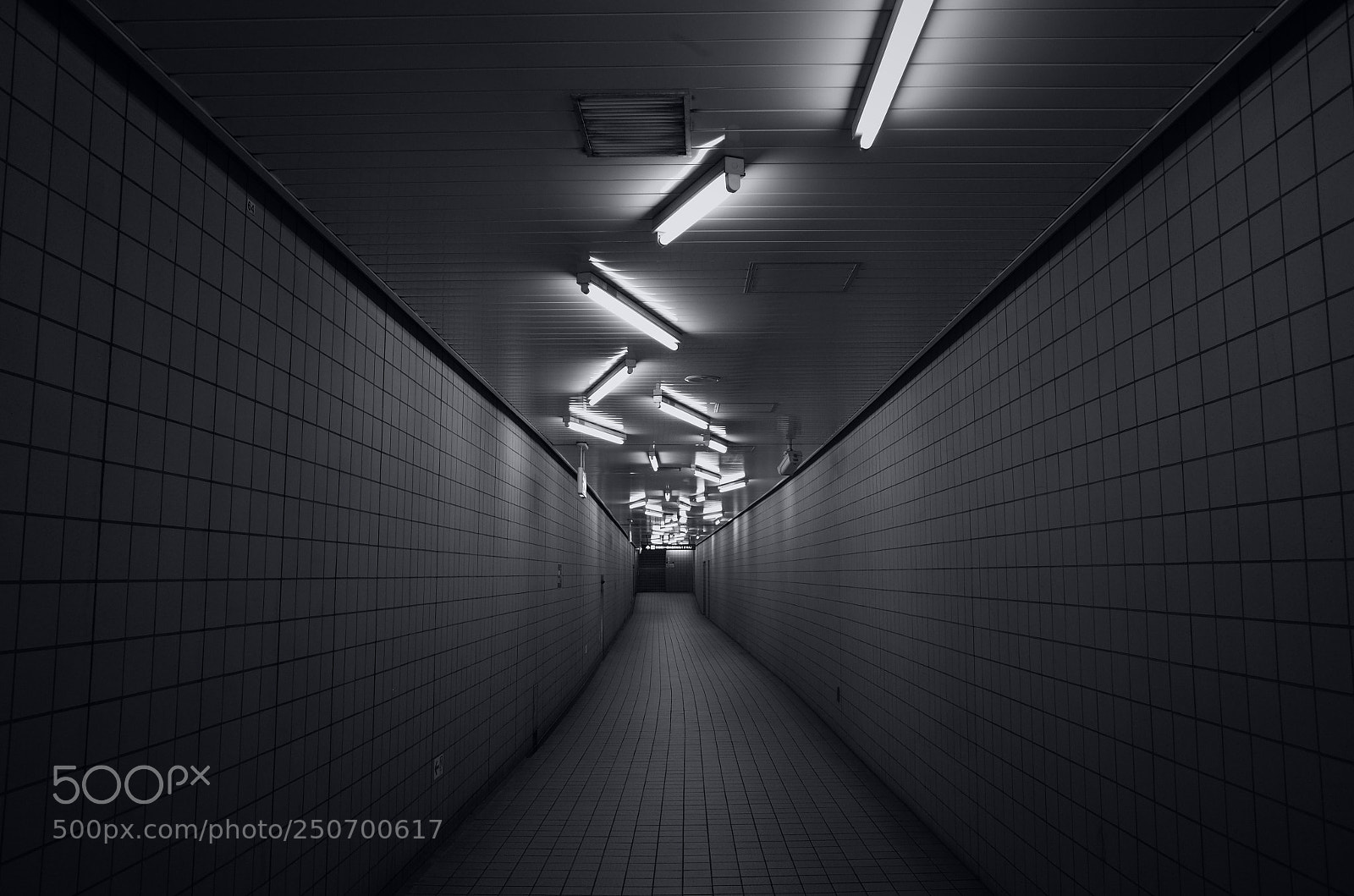 Ricoh GR sample photo. Untitled photography