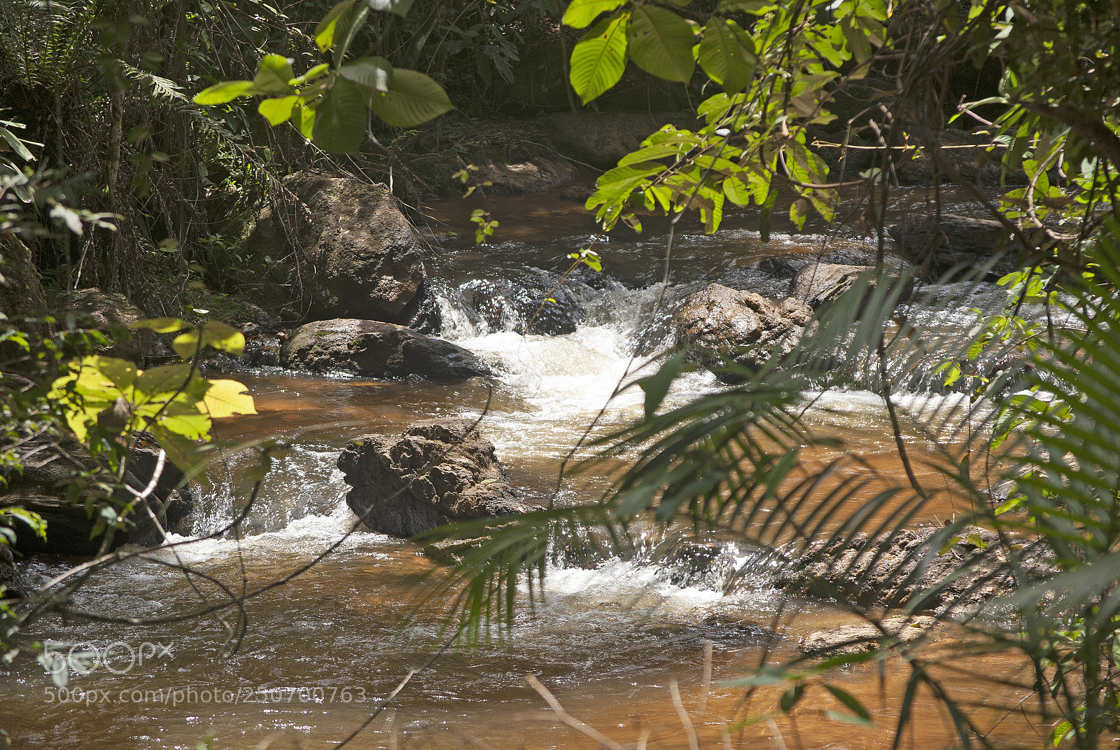 Nikon D60 sample photo. Untitled photography