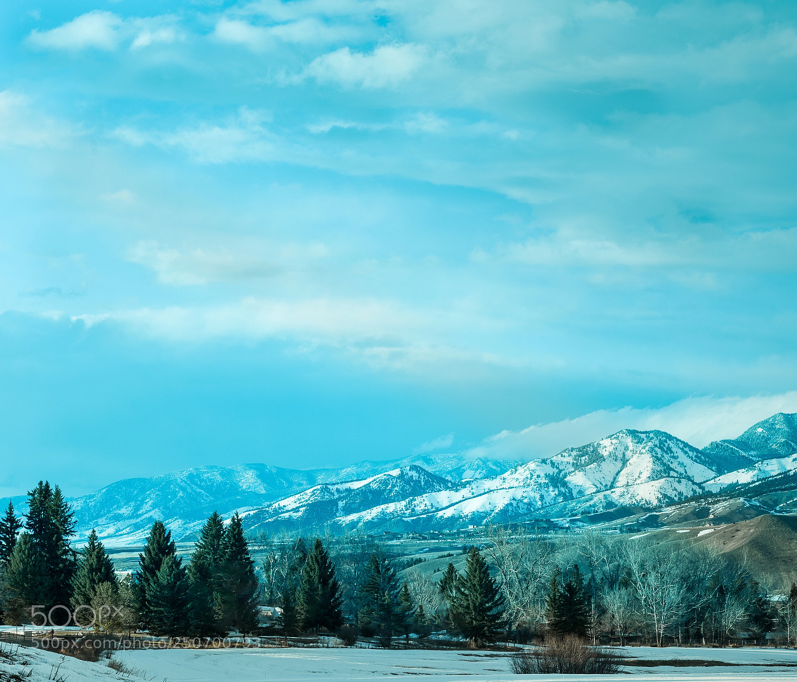 Nikon D810 sample photo. Sunlight on the bridgers photography