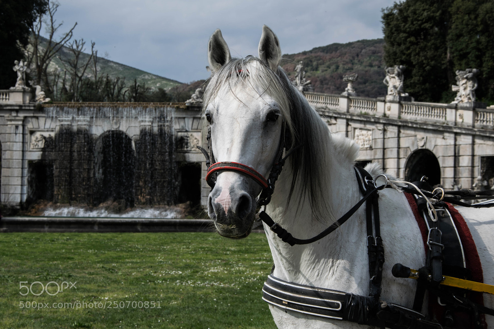 Nikon D5300 sample photo. Reggia di caserta 2018 photography