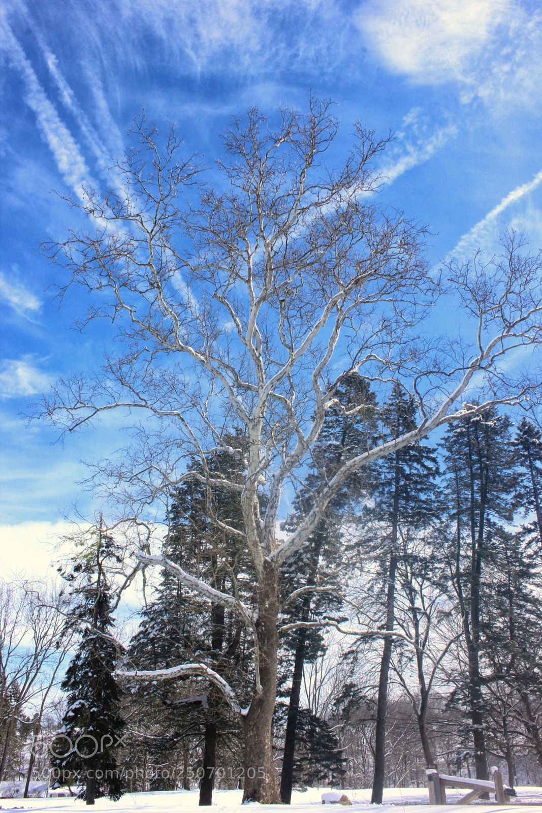 Canon EOS 600D (Rebel EOS T3i / EOS Kiss X5) sample photo. Nor'easter #4 photography