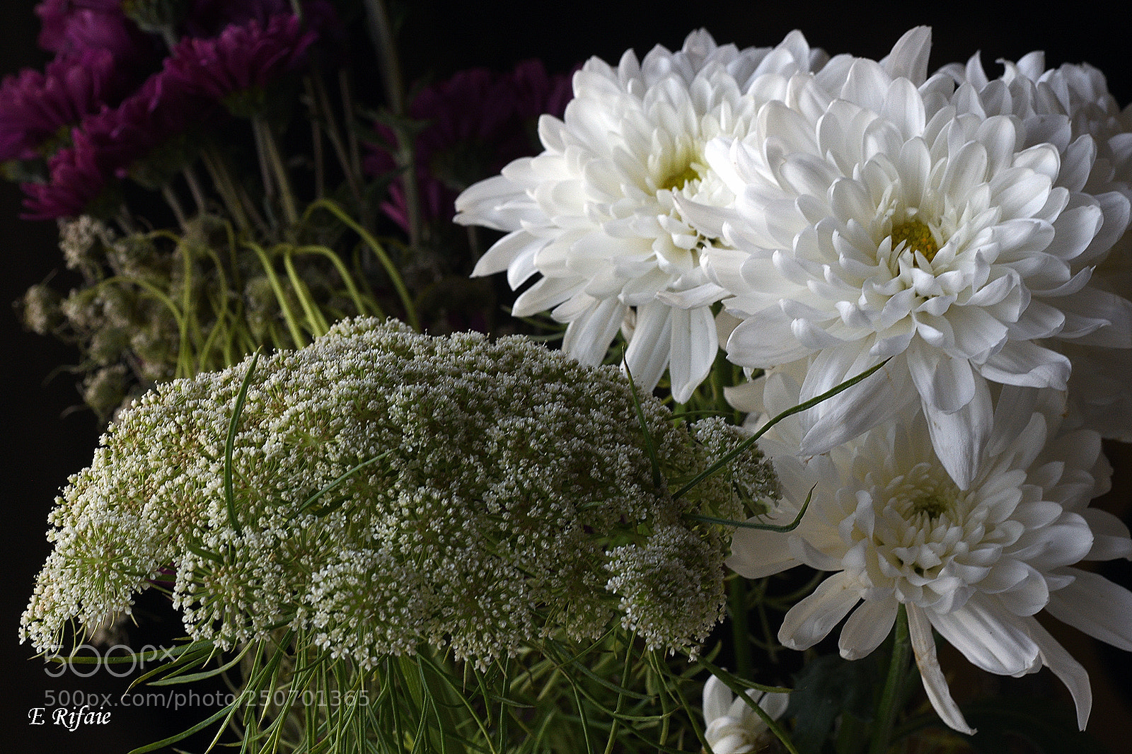 Nikon D7500 sample photo. Flowers photography