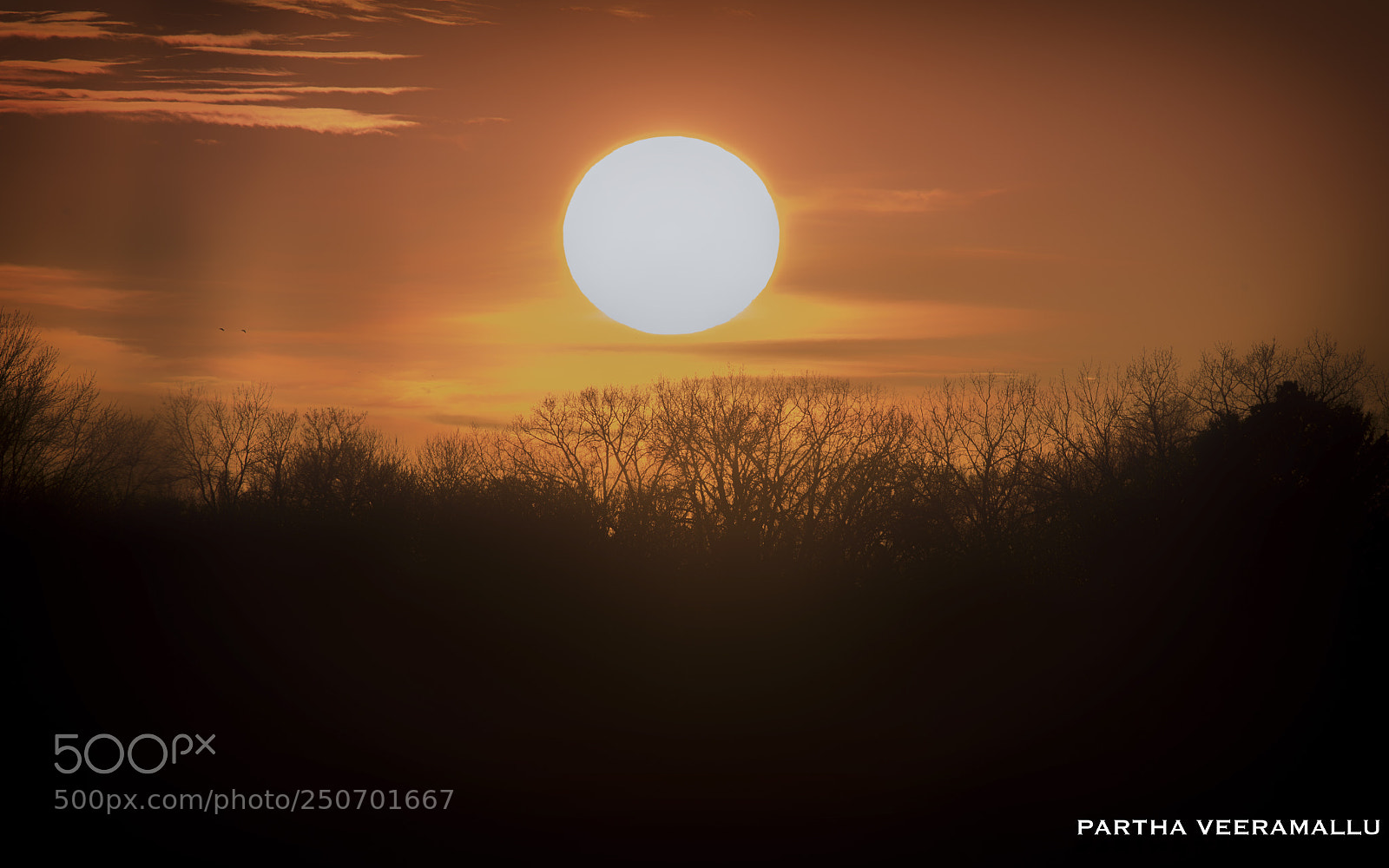 Nikon D810 sample photo. Sunset photography