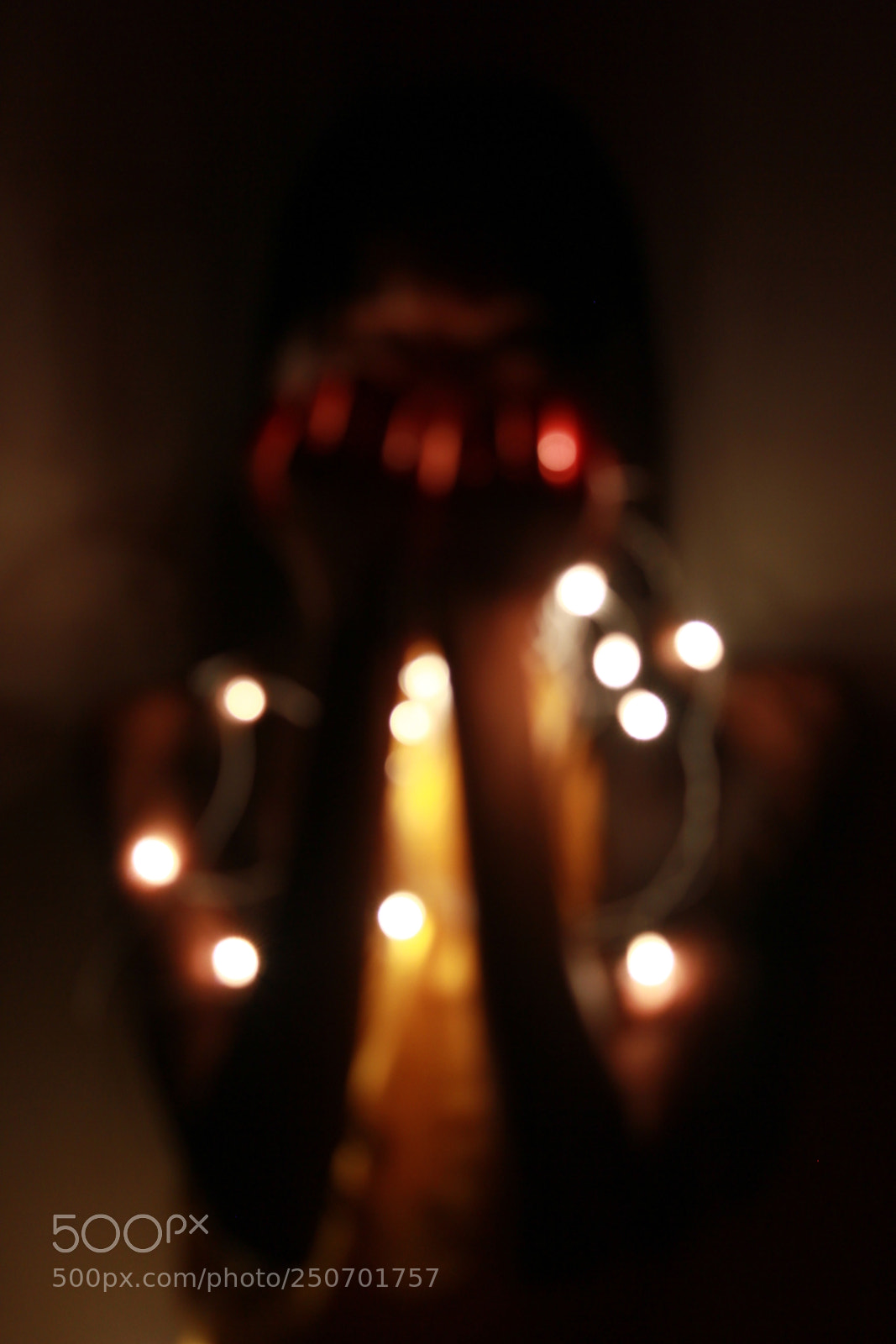 Canon EOS 60D sample photo. Beauty behind the blur photography