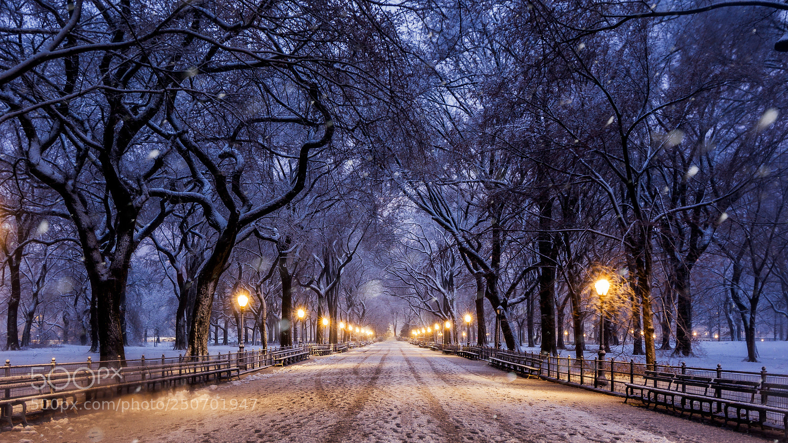 Nikon D7100 sample photo. Central park during a photography