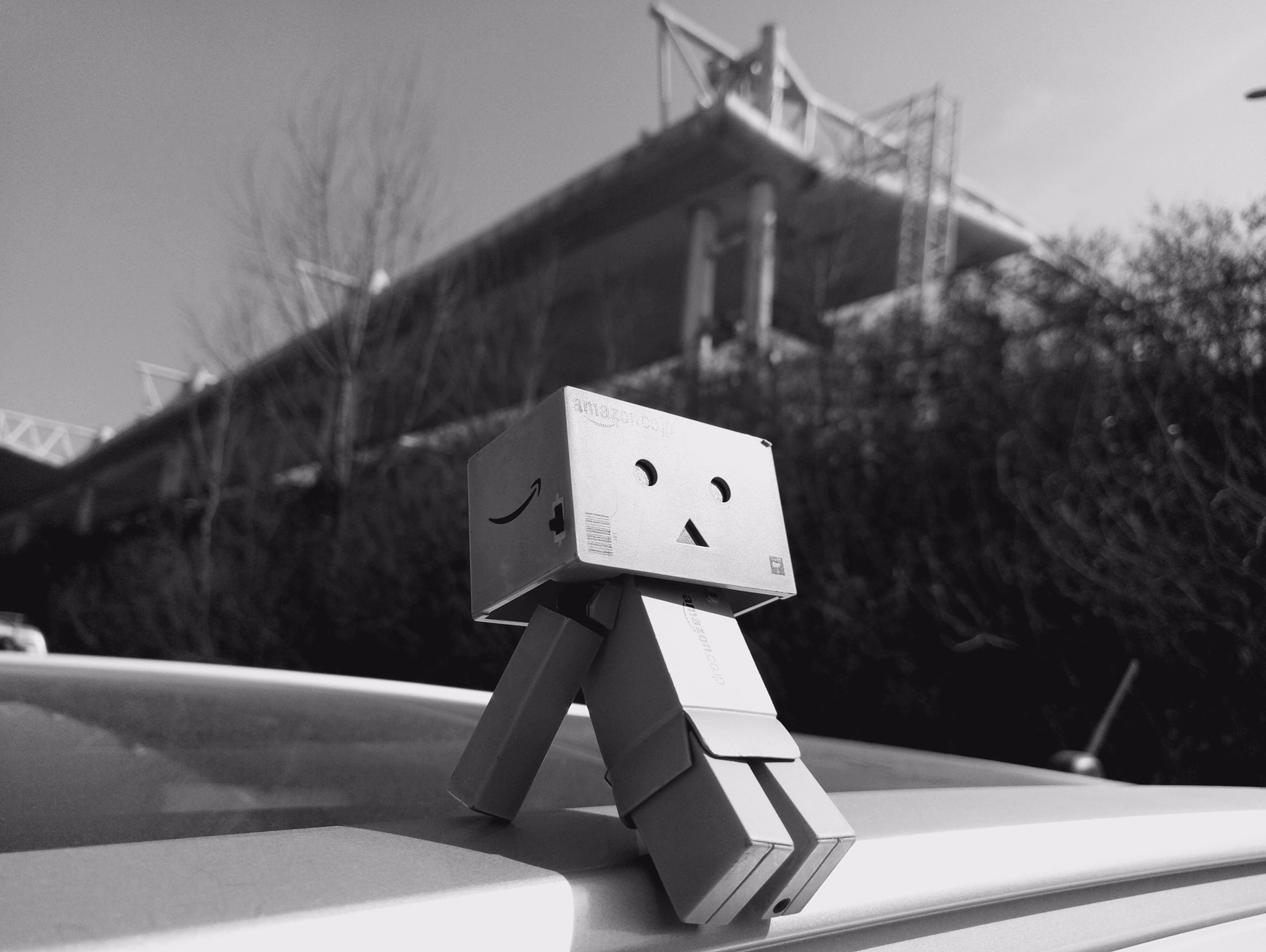 Meizu PRO 6s sample photo. 九姑娘 photography