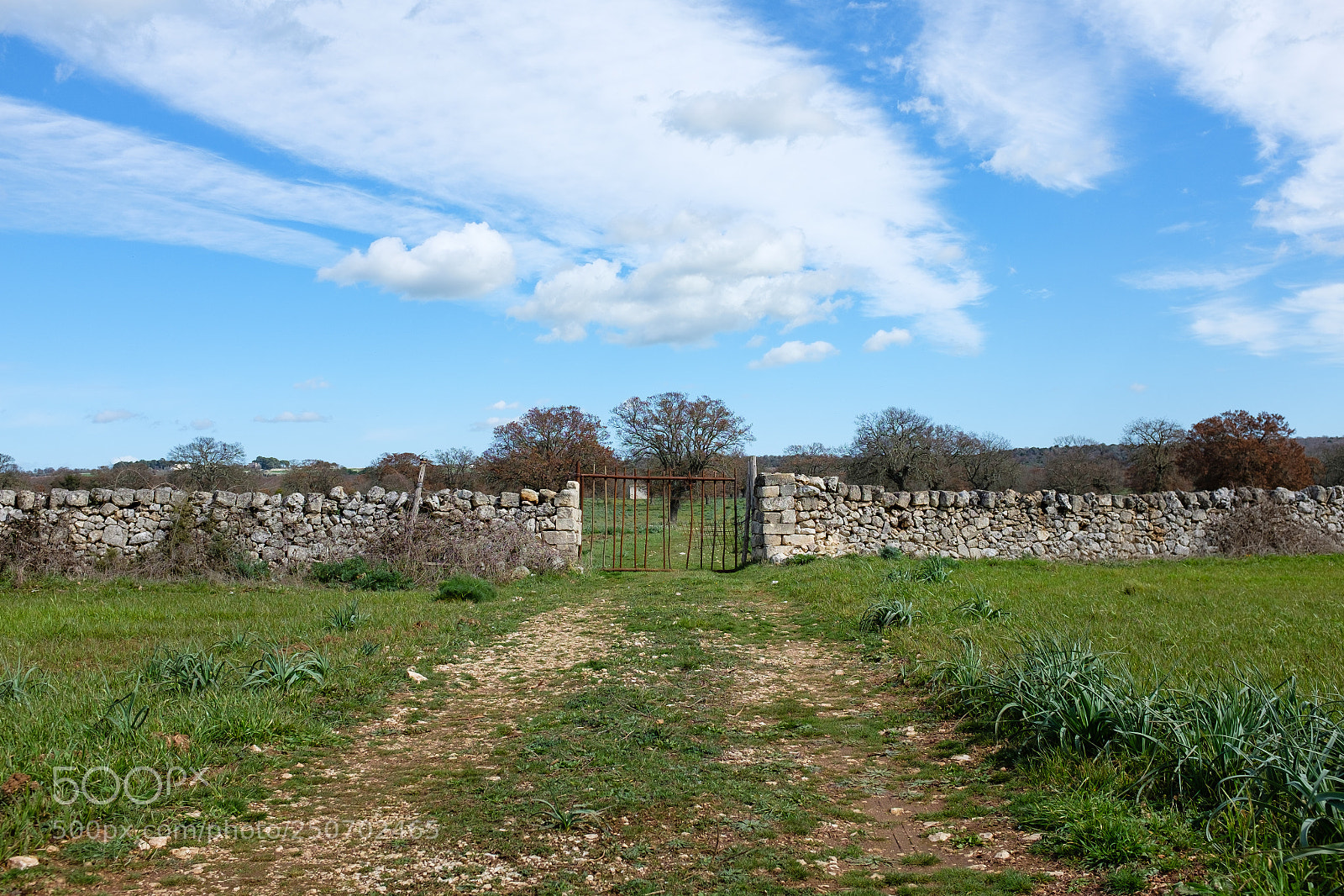 Fujifilm X100S sample photo. Glimpse of apulian countryside photography