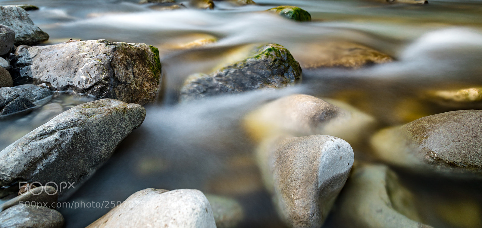 Canon EOS 5D Mark IV sample photo. Untitled photography