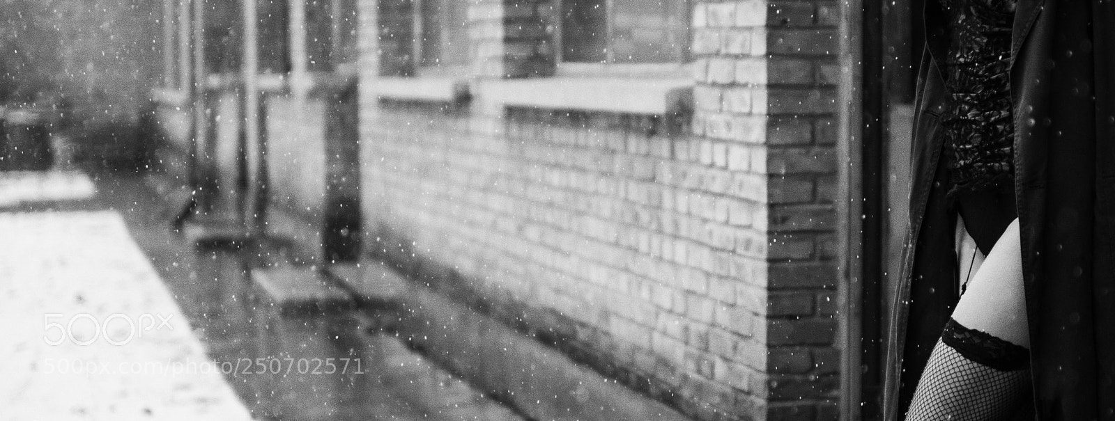 Nikon D810 sample photo. Untitled photography
