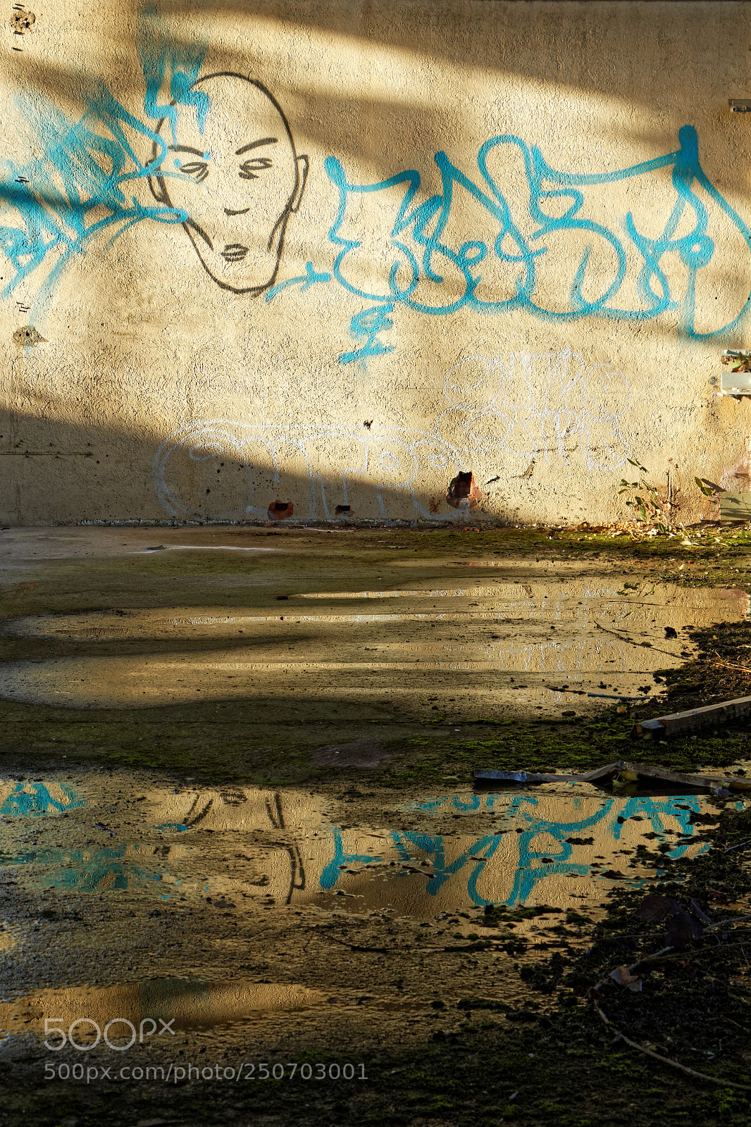 Canon EOS 70D sample photo. Puddle photography