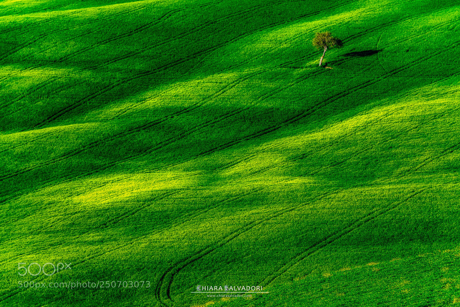 Nikon D800 sample photo. Green sea and lonely photography