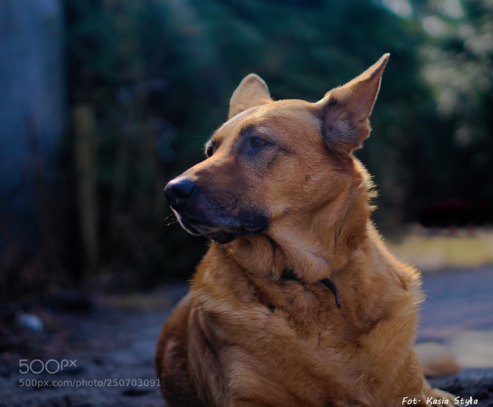 Sony a6000 sample photo. Luna photography