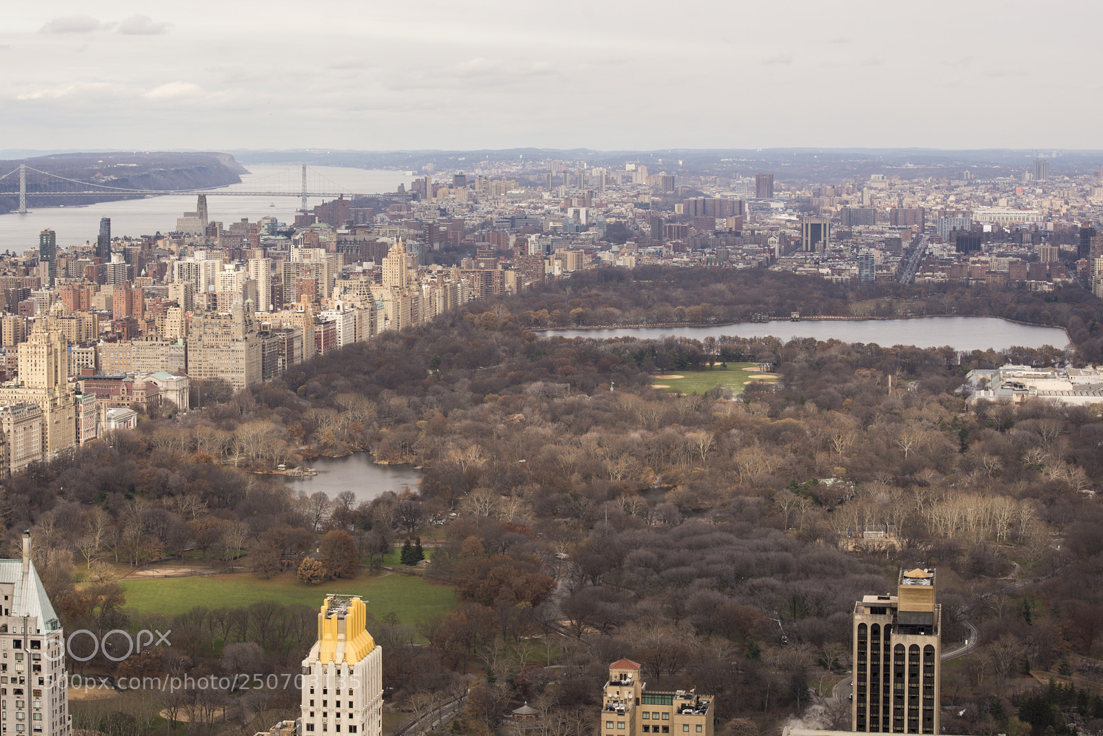 Nikon D600 sample photo. Central park, ny. photography