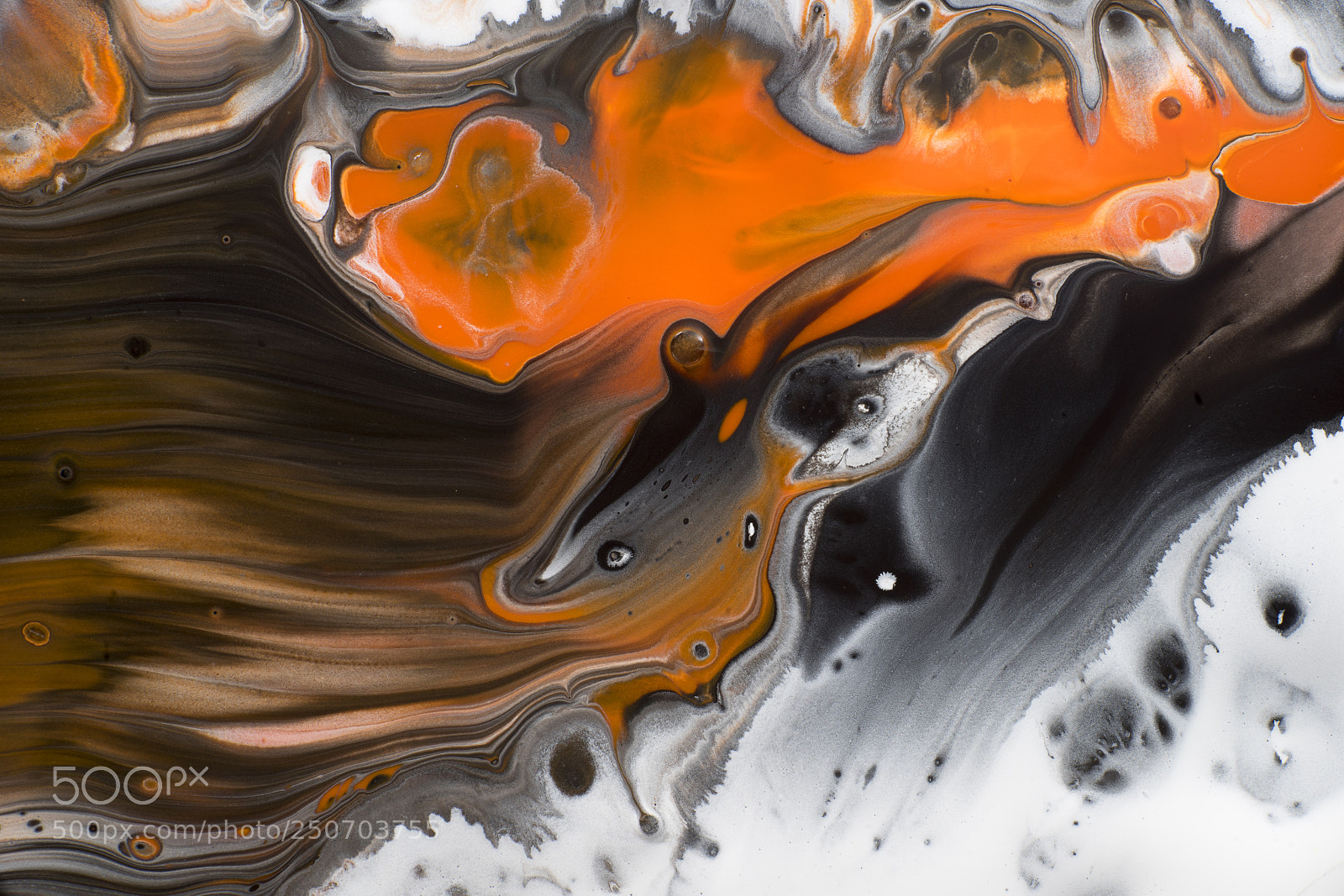 Sony a7R sample photo. Plate 3021 photography
