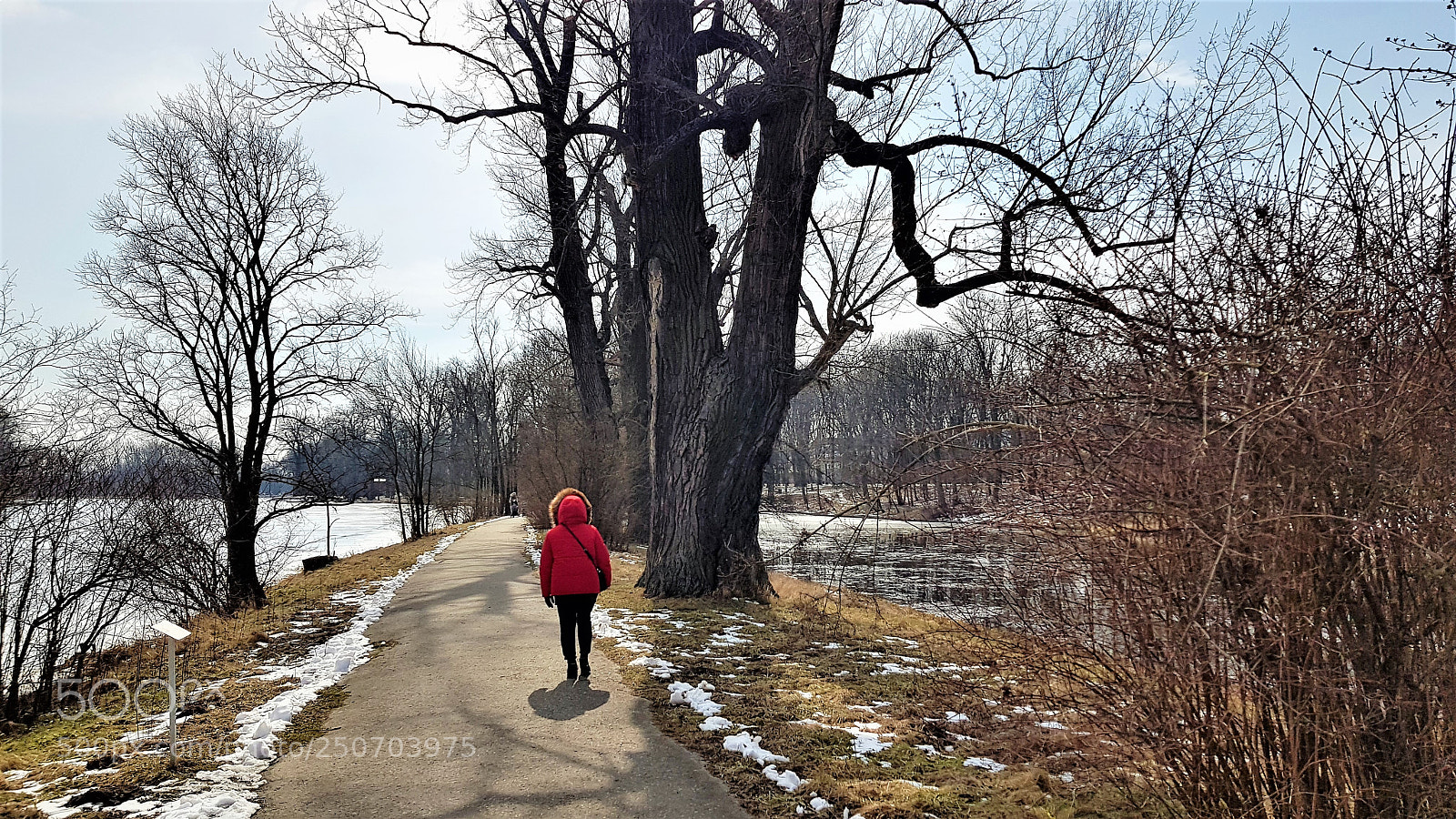 Samsung Galaxy S8+ sample photo. Park in wilanów. photography