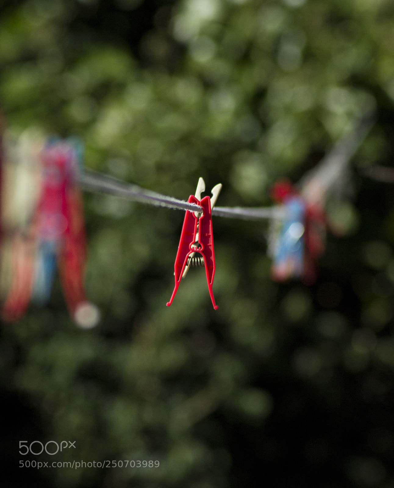 Nikon D3100 sample photo. Hanged photography