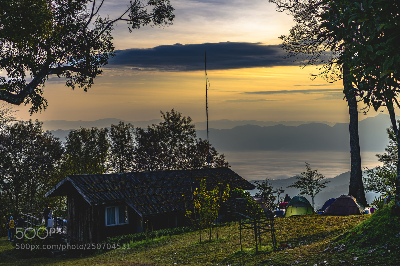 Nikon D850 sample photo. Morning photography
