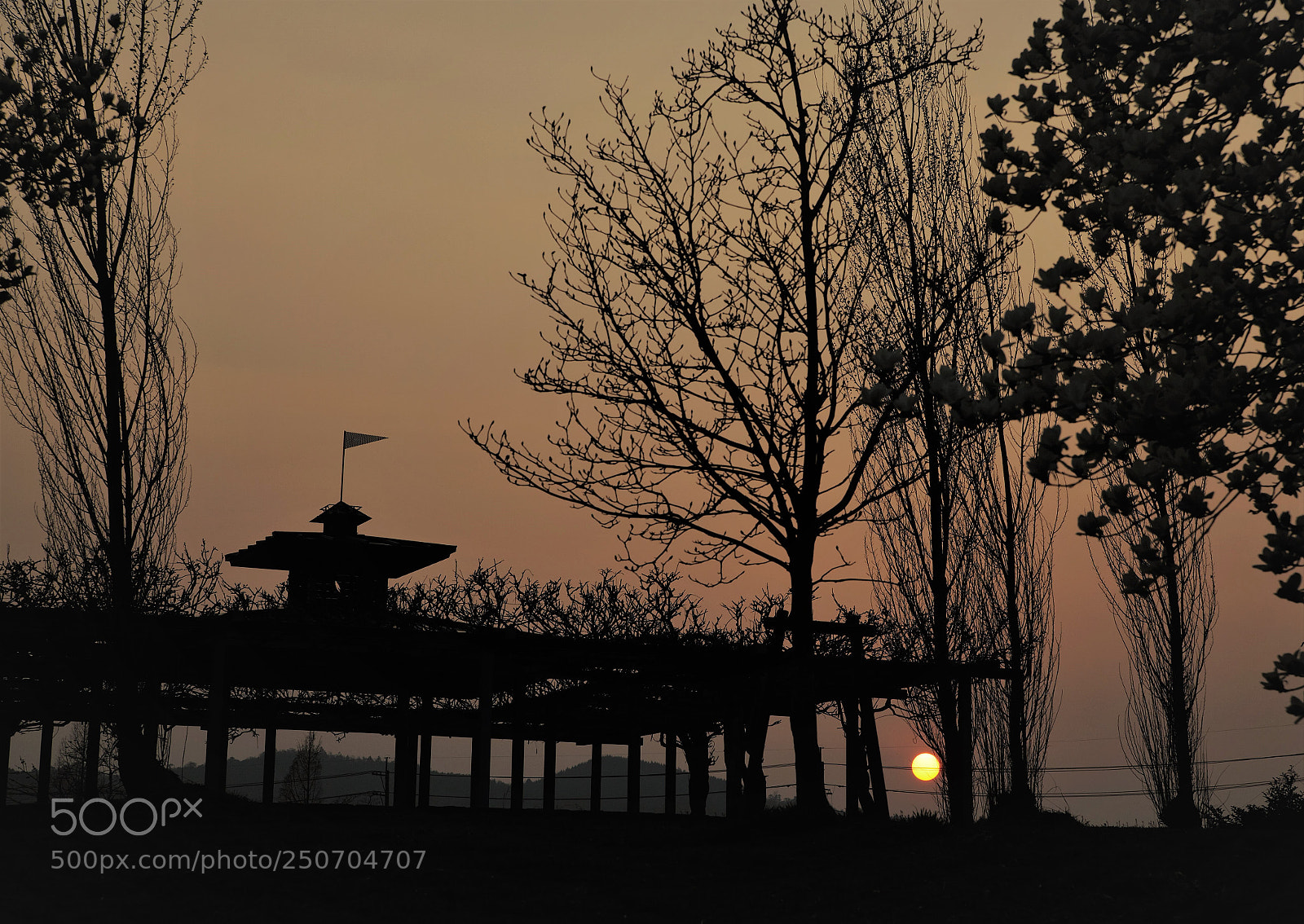 Canon EOS 5D Mark II sample photo. Triangular pennant photography