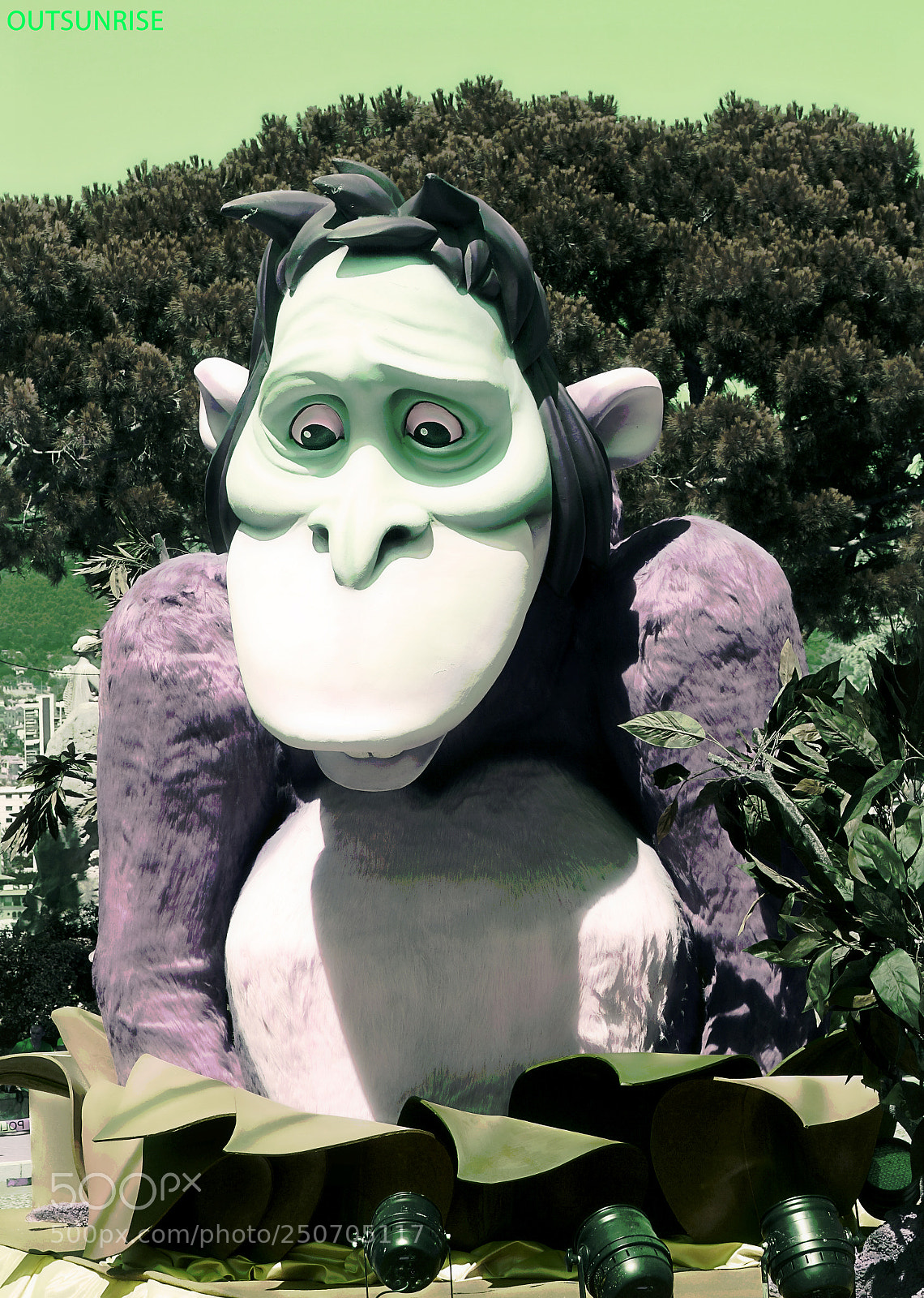 Sony SLT-A65 (SLT-A65V) sample photo. Monkey by outsunrise photography