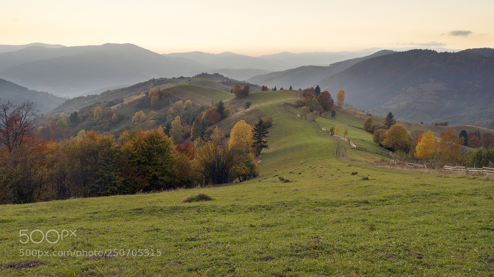 Sony a7R sample photo. Autumn meadow photography
