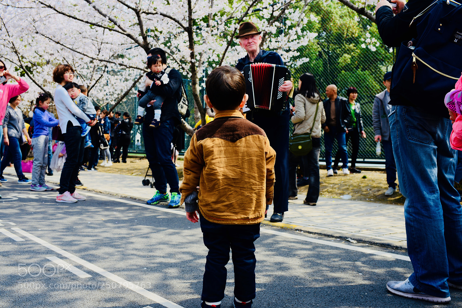 Nikon D610 sample photo. 花不如人 photography